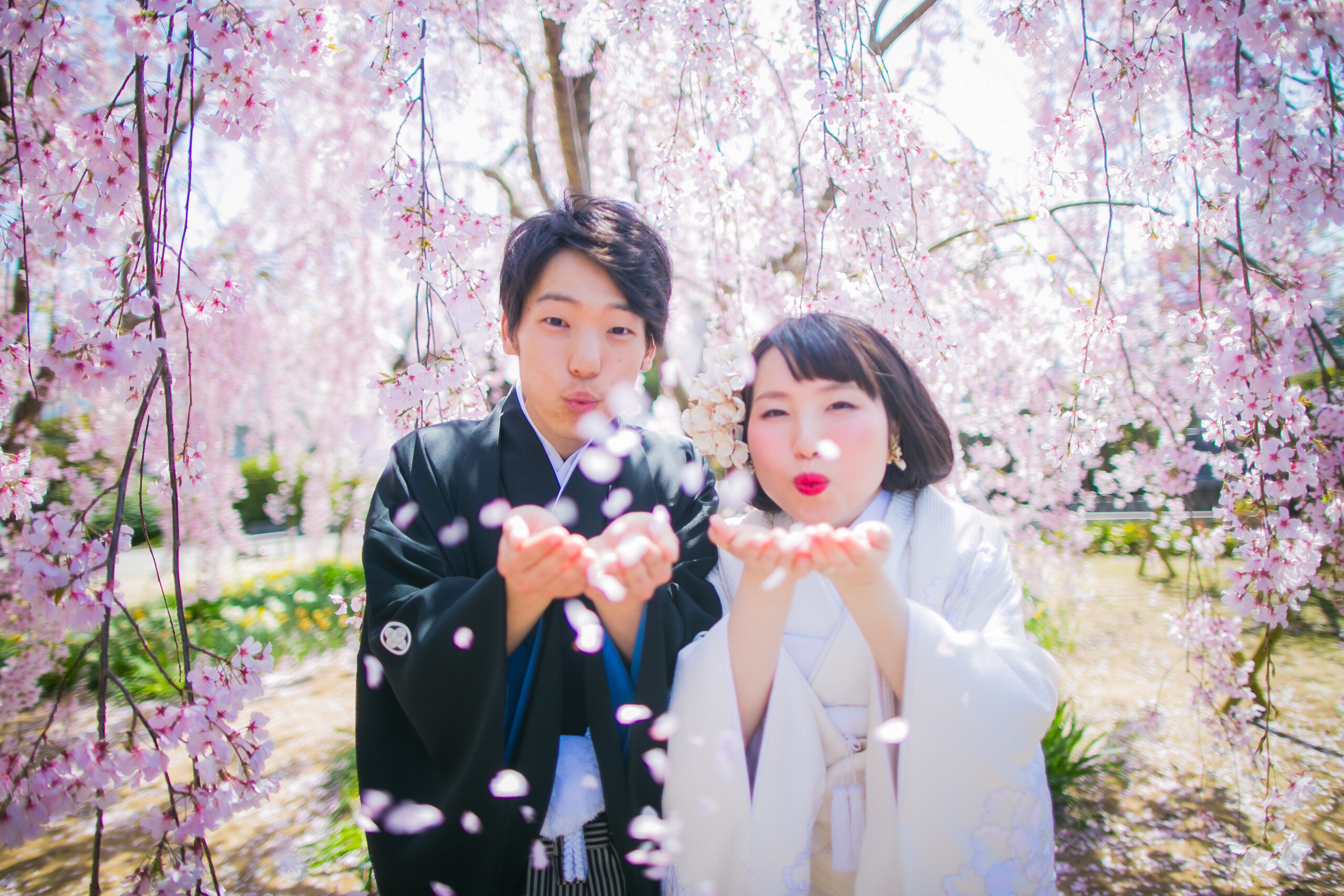 桜の下で袴と白無垢を着た夫婦