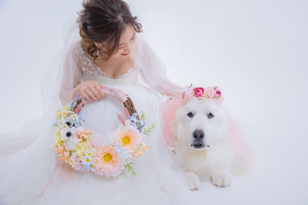 ウェディングドレスの花嫁と花冠をつけた大型犬のソロウェディングショット