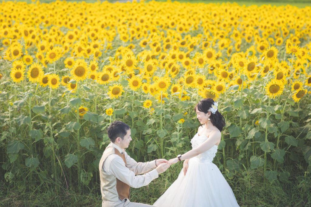 ひまわりばたけの中でウェディング衣裳を着た新郎新婦が向き合って結婚指輪をはめている