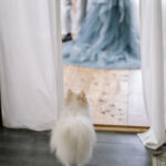 大阪でウェディングフォトを撮影している新郎新婦を見ているペットの犬