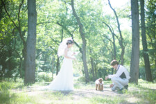 フォトウェディング,大阪,ロケ,ペット