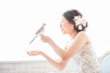 フォトウェディング,大阪,ペット